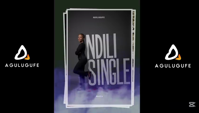  Agulugufe_-_Ndili_Single